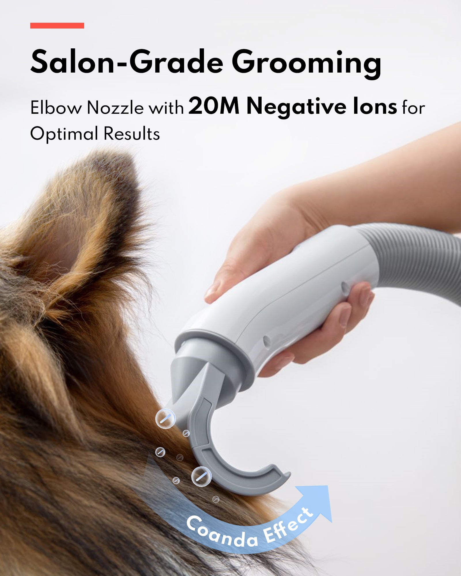 HomerunPET Pet Hair Dryer