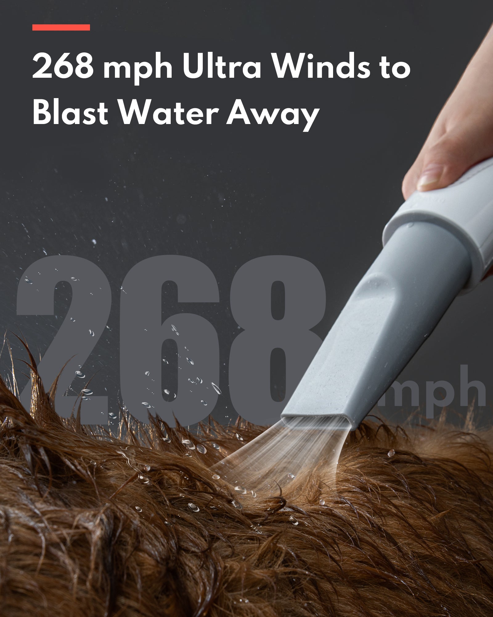 HomerunPET Pet Hair Dryer