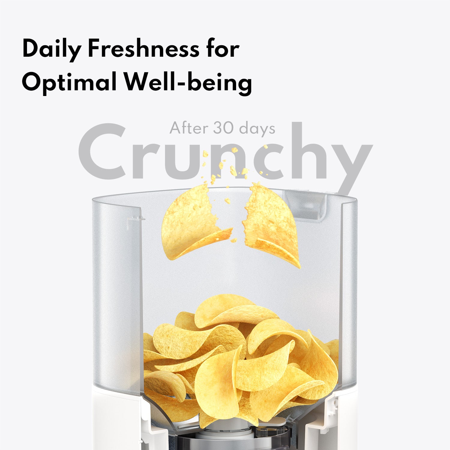 Smart Pet Feeder PF20