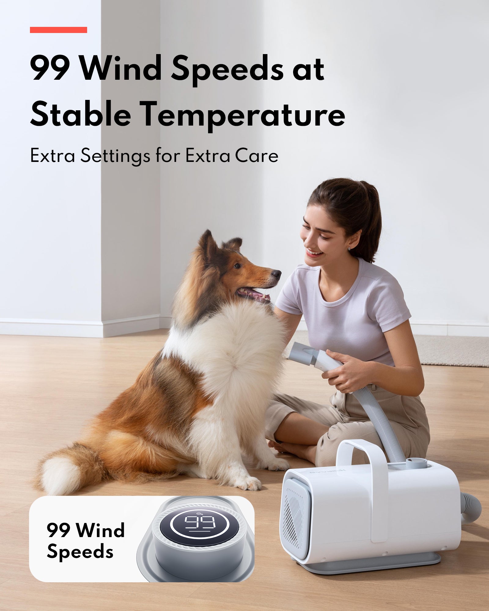 HomerunPET Pet Hair Force Dryer PD10