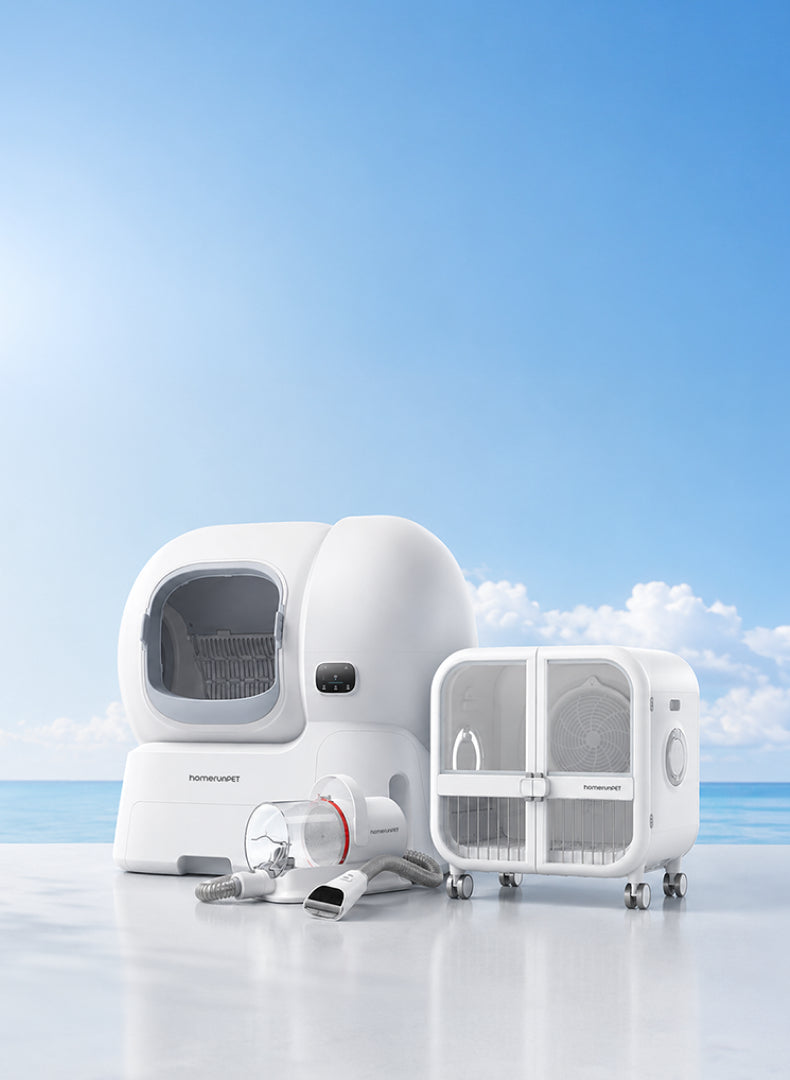 <p><strong>Summer is On. </strong></p><p><strong>So is Smart Care.</strong></p>