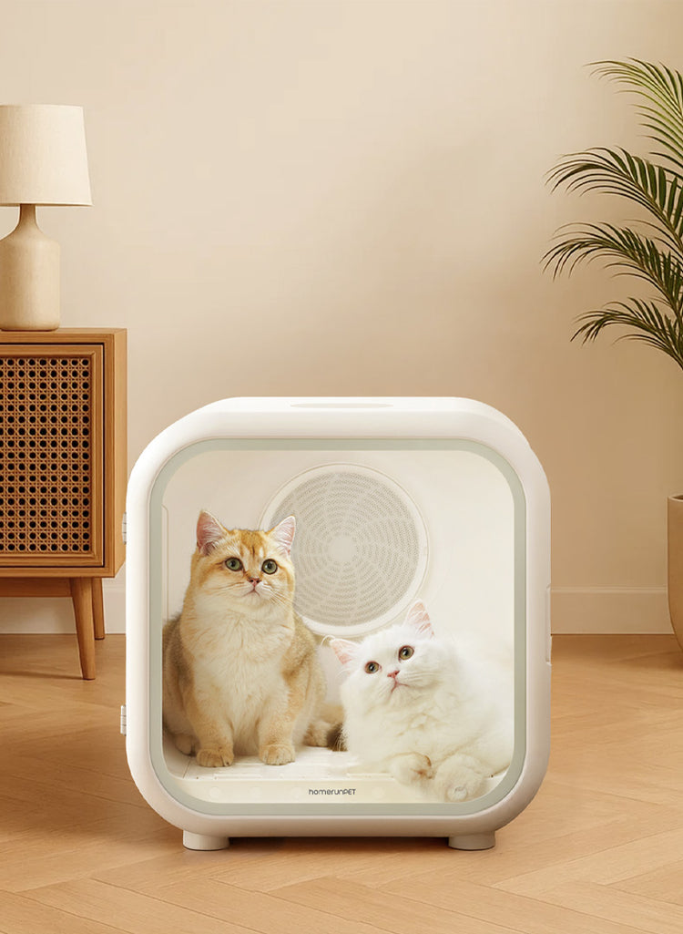 Two cats inside a white pet drying box in a room with furniture and decor.