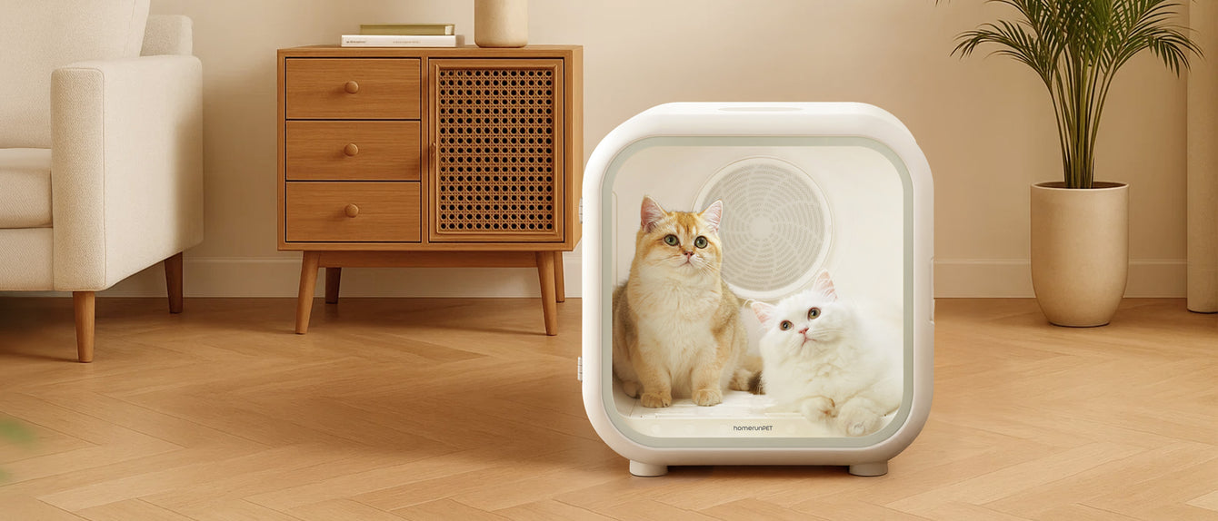 Two cats inside a white pet drying box in a room with furniture and decor.
