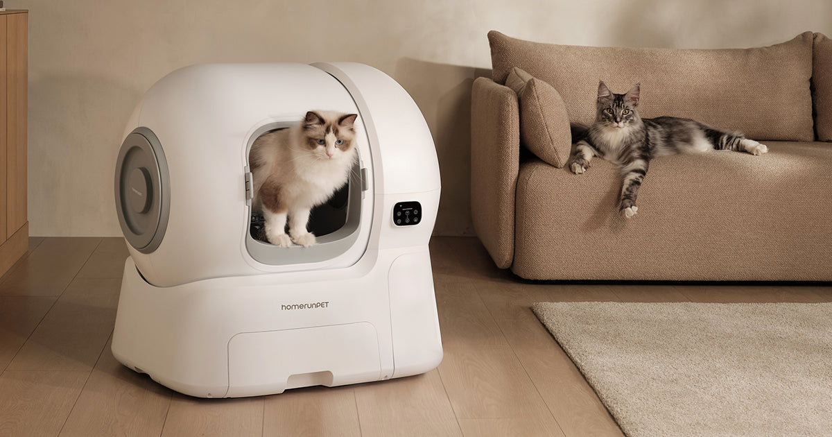 Why a Self-Cleaning Litter Box Is a Game-Changer for Cat Parents