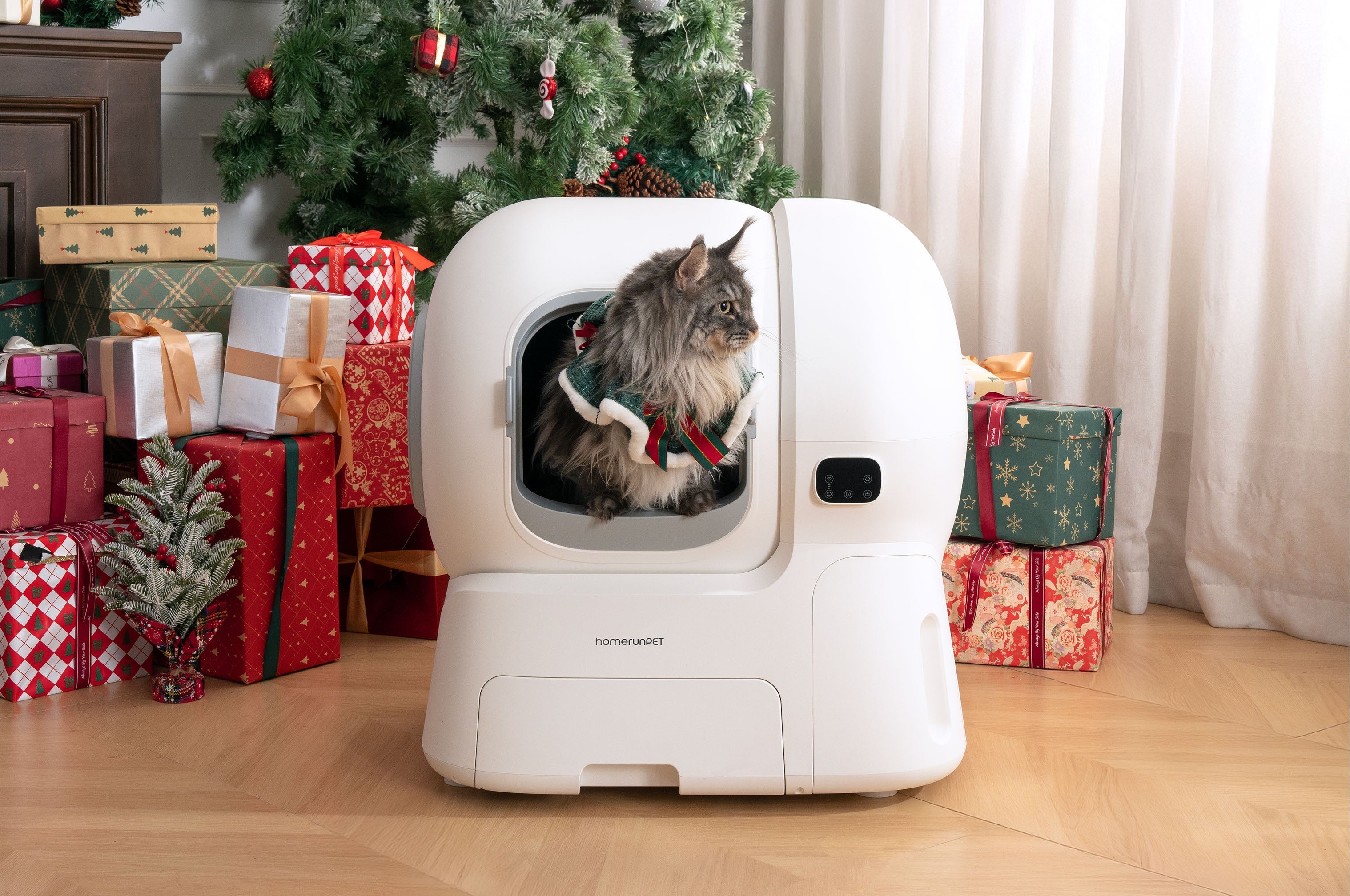 Less Scooping, More Living: A Smarter Litter Box for Modern Cat Homes