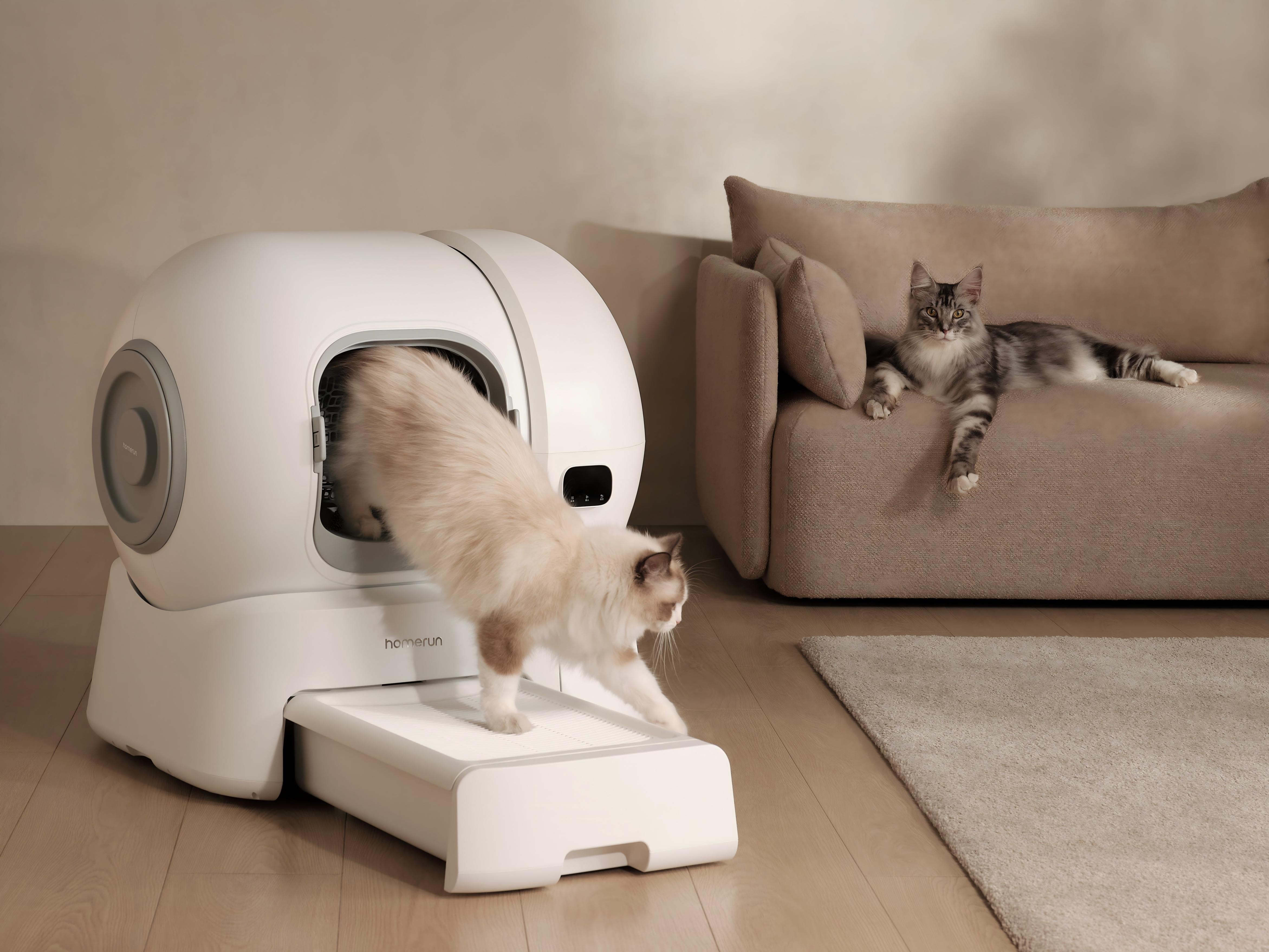 Why a Self-Cleaning Litter Box Is a Game-Changer for Cat Parents