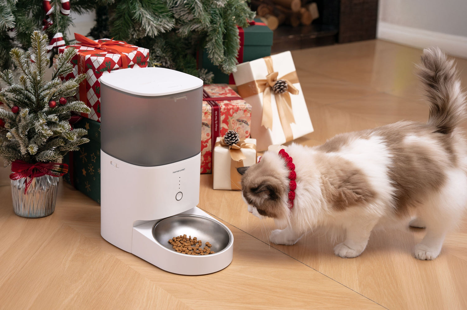 Feed Smarter, Worry Less: How the homerunPET Smart Pet Feeder PF20 Supports Healthier Daily Routines