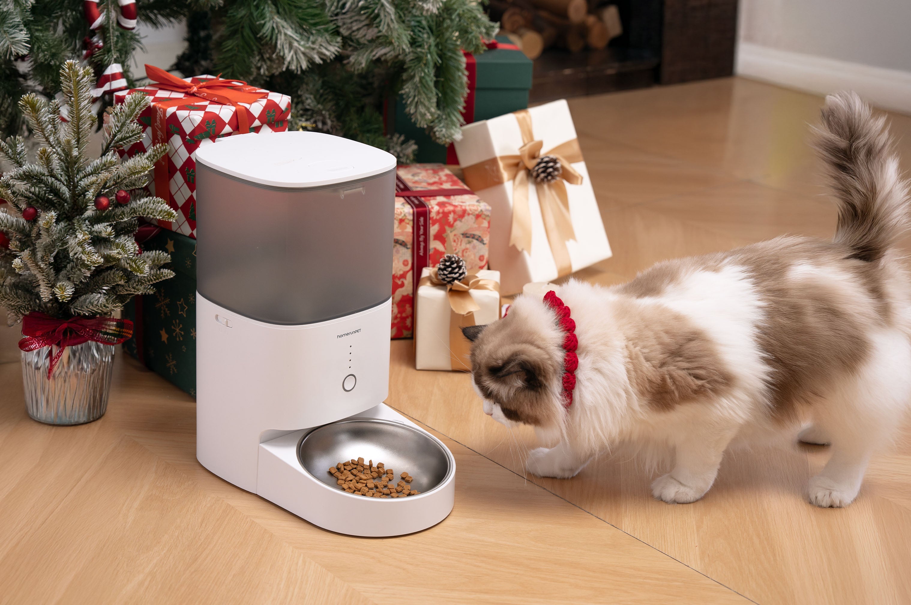 Feed Smarter, Worry Less: How the homerunPET Smart Pet Feeder PF20 Supports Healthier Daily Routines