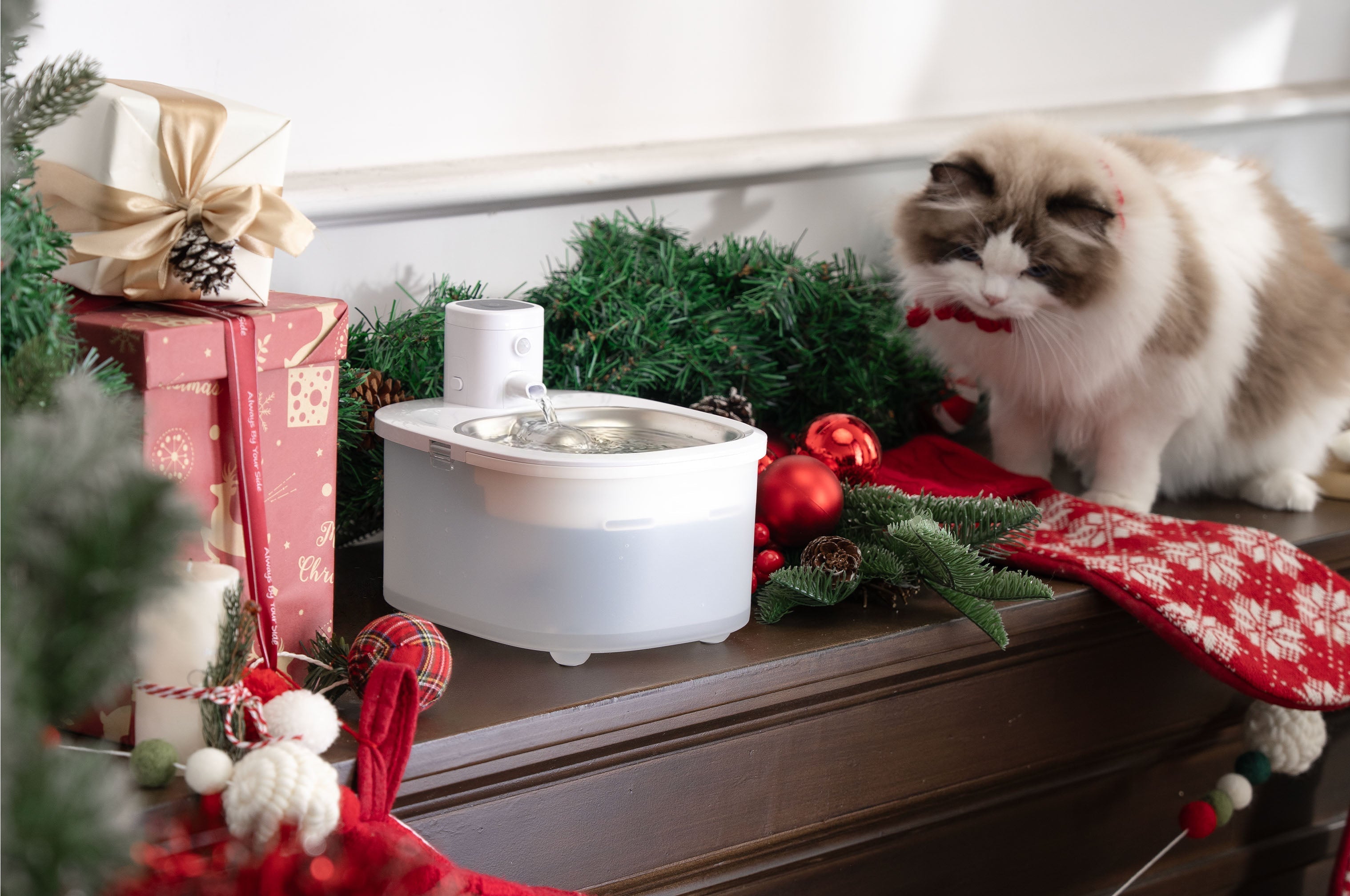 Keep Your Cat Hydrated & Happy This Christmas with the Wireless Stainless Steel Pet Water Fountain BF25M