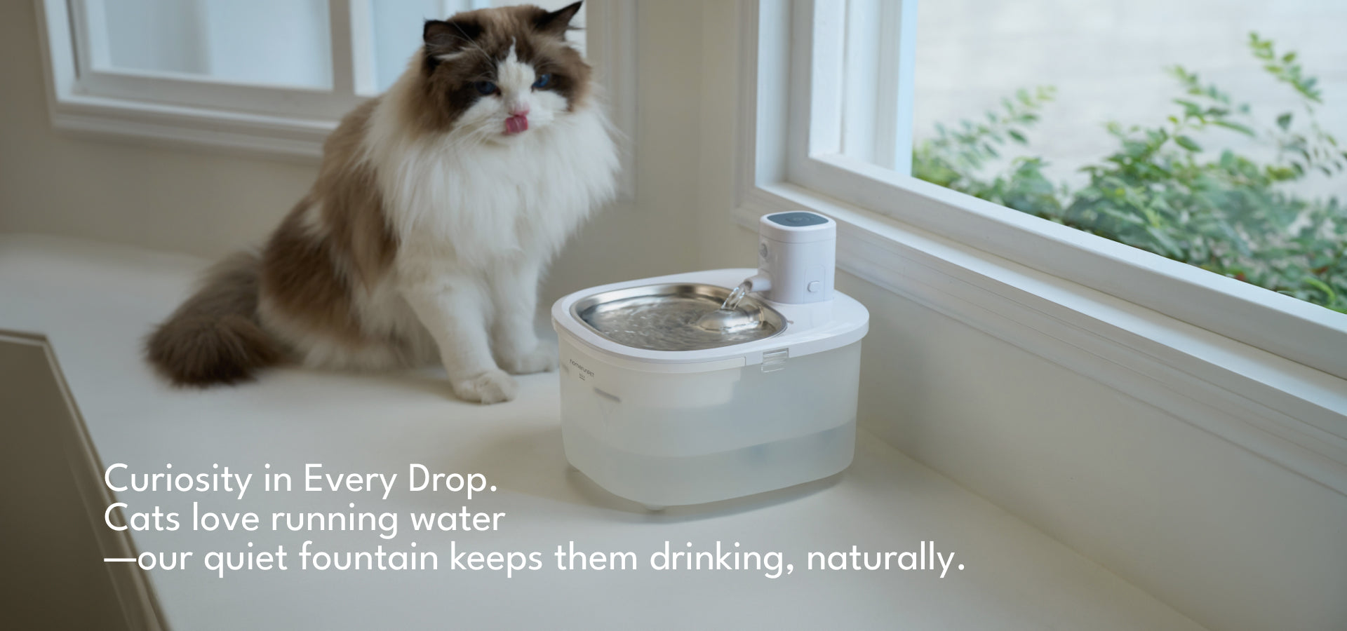 BF25M Water Fountain Review: Why Cats Prefer Smart Hydration