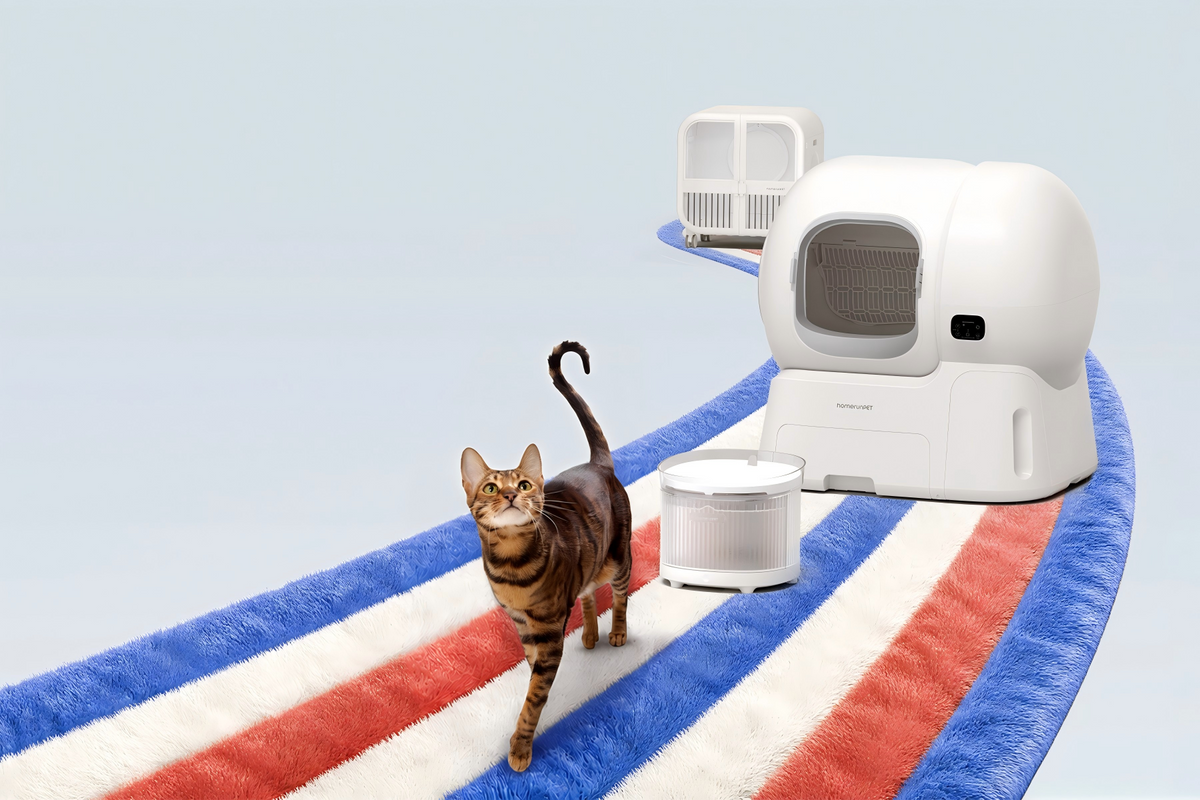 Labor Day for Cat Parents: 7 Ways to Spend Less Time on Litter Box Cleaning
