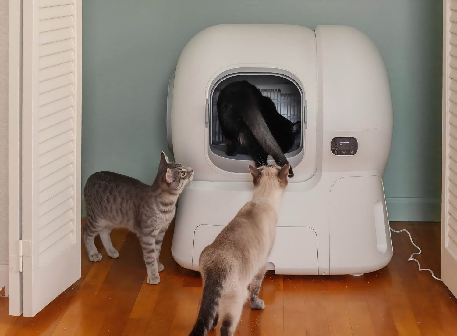 A Complete Guide to Choosing the Right Self-Cleaning Litter Box for Your Cat