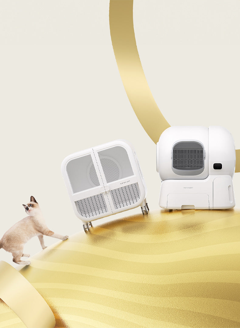 Easter Fun for Cats: Safe Toys, Treats, and a Fresh Litter Box