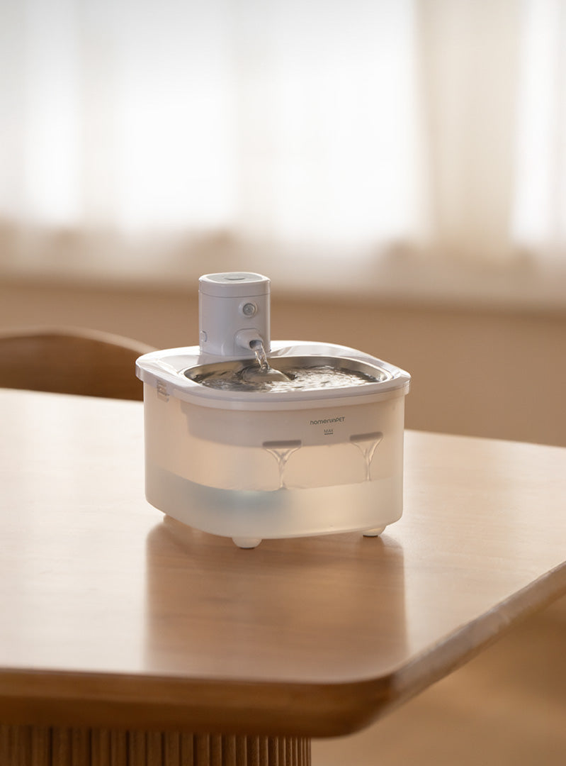 From Multi-Pet Homes to Busy Owners: Why the BF25M Is Built for Real-Life Pet Families