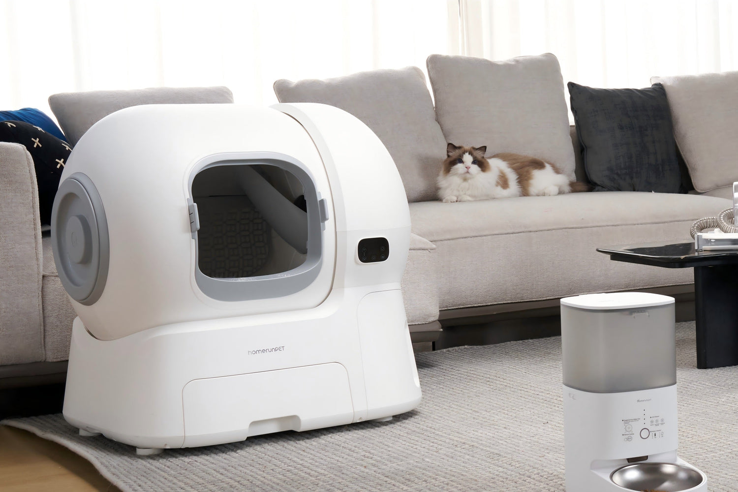 How to Introduce Your Cat to an Automatic Litter Box