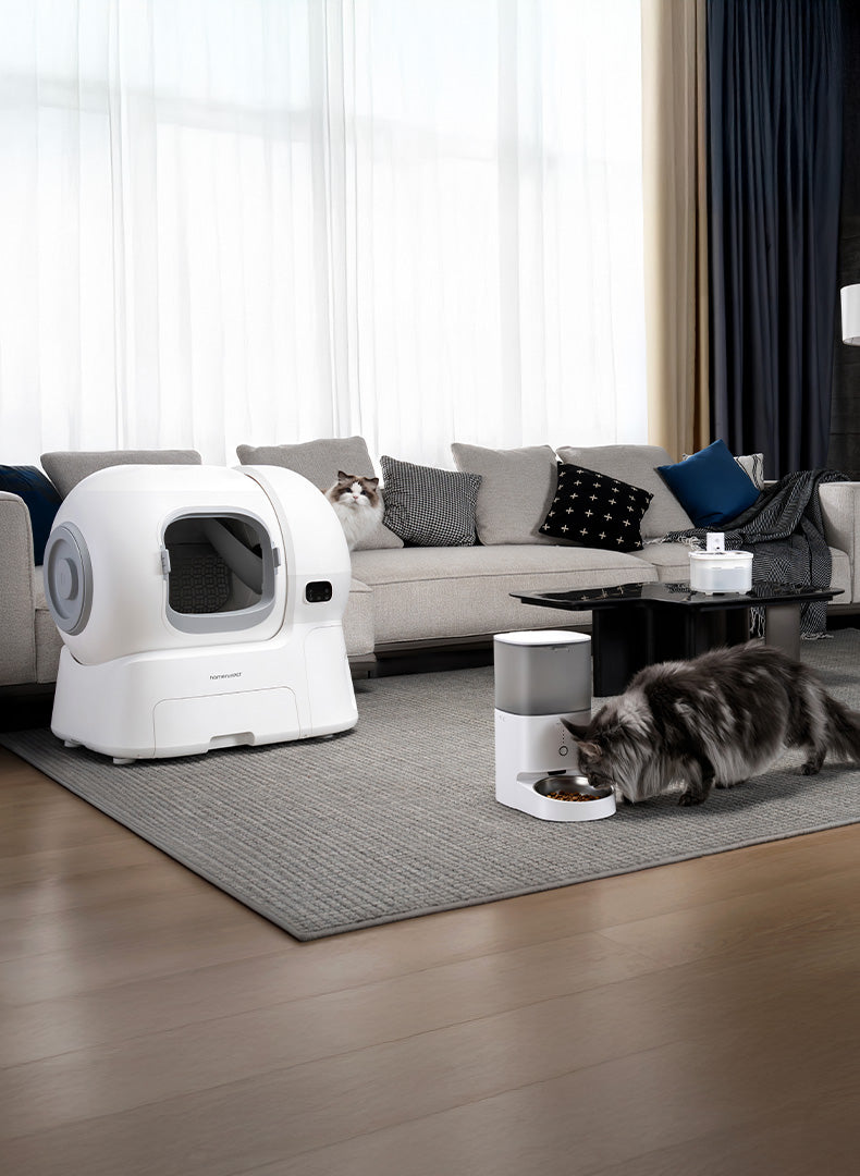Skip the Mess, Keep the Savings: The Smart Way to Upgrade Your Cat’s Bathroom This Black Friday