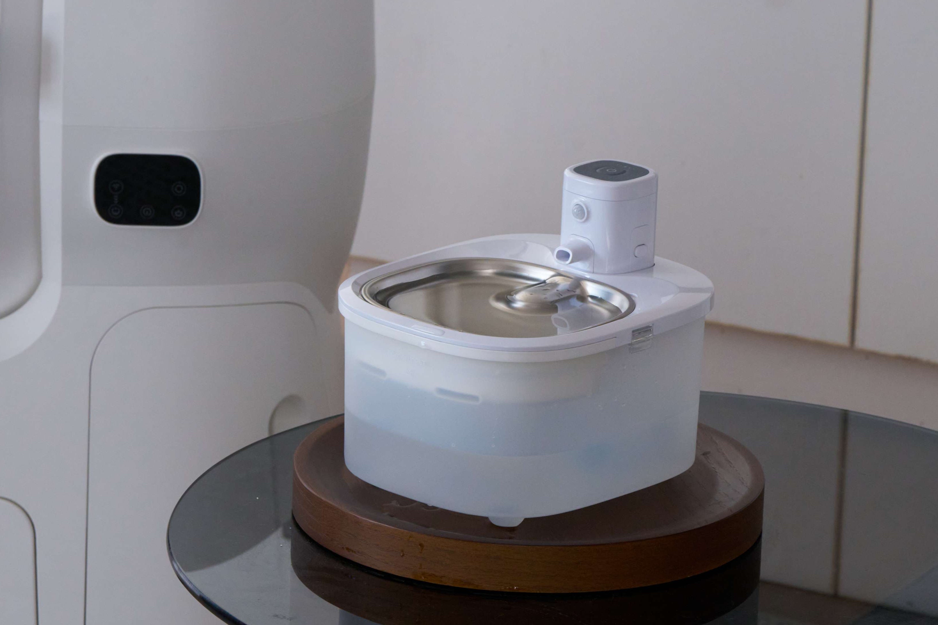 The Ultimate Guide to Keeping Pets Properly Hydrated