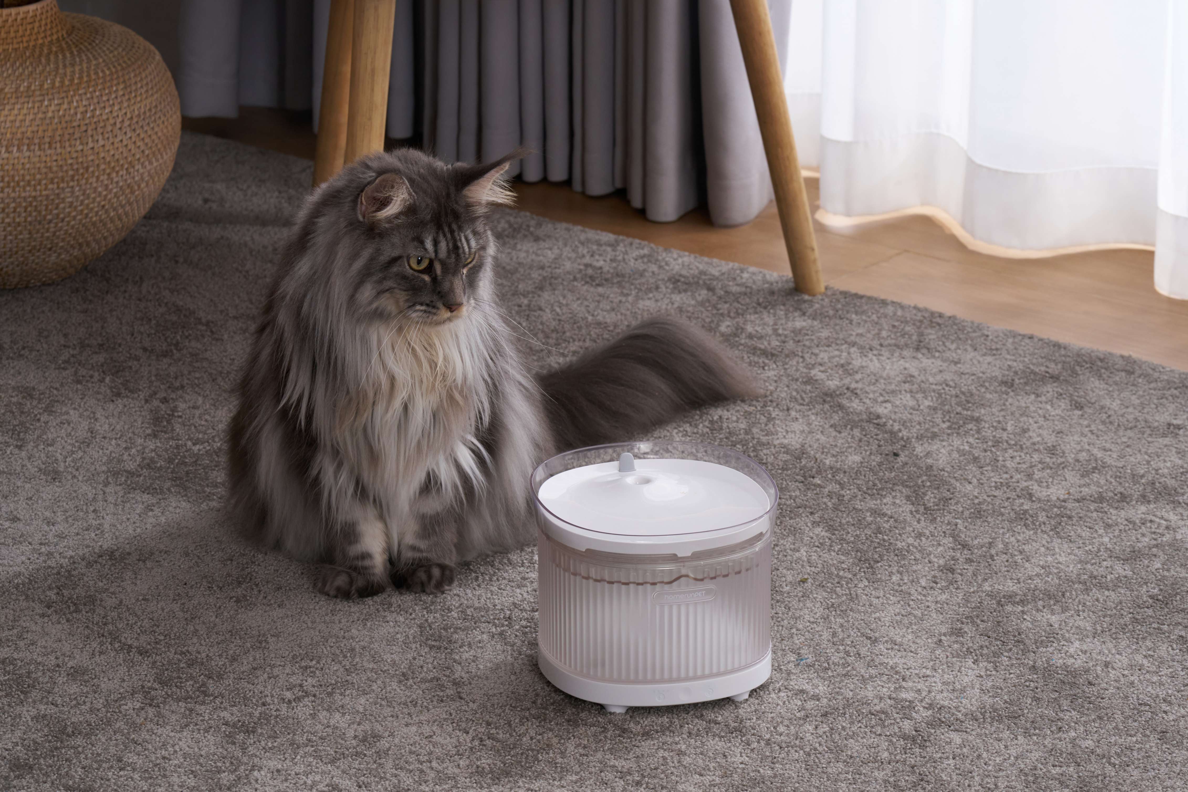 Water Anywhere: How the homerunPET BF10 Wireless Pet Fountain Fits Every Corner of Your Home