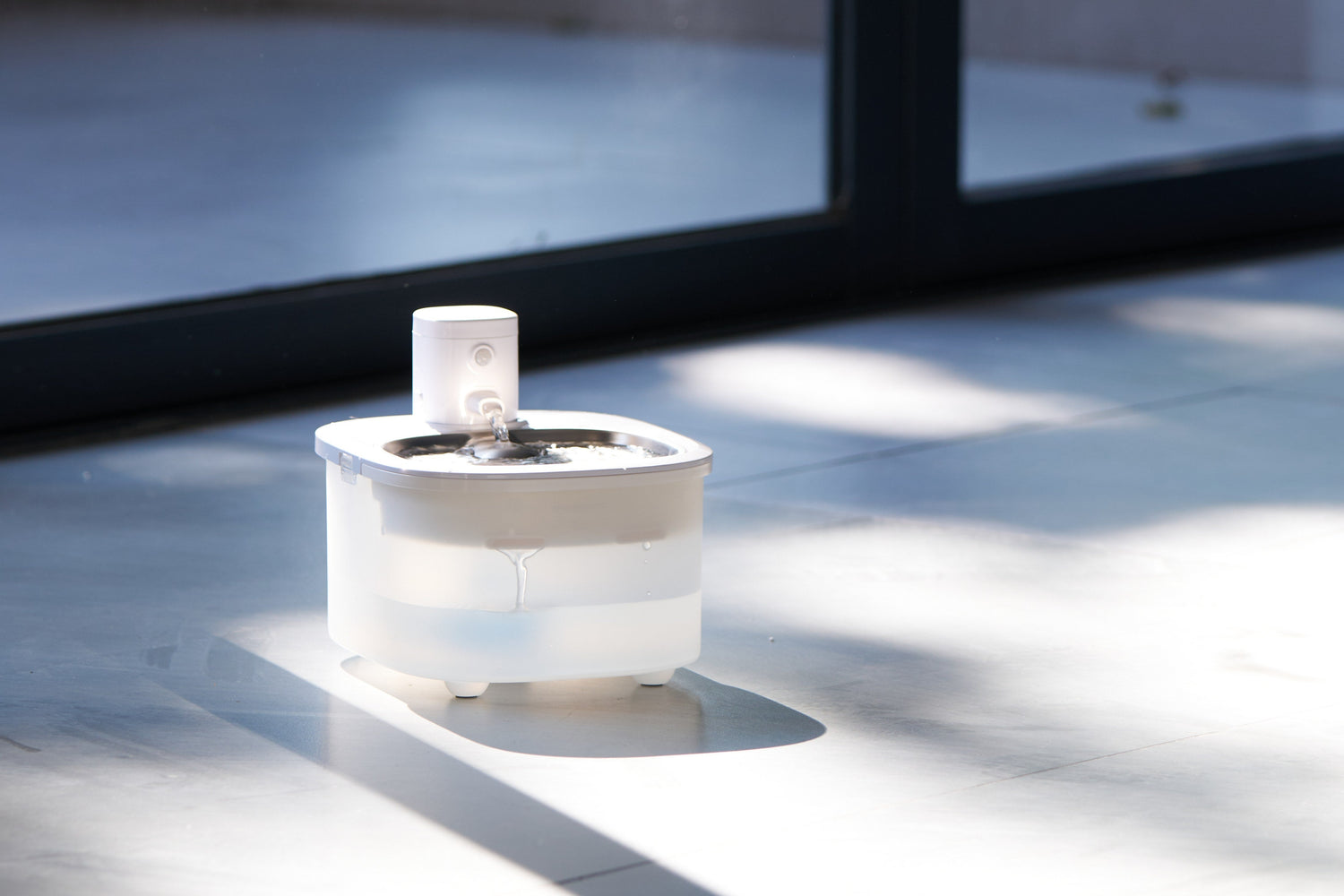 How to Keep Your Cat Cool and Comfortable in Warming Weather