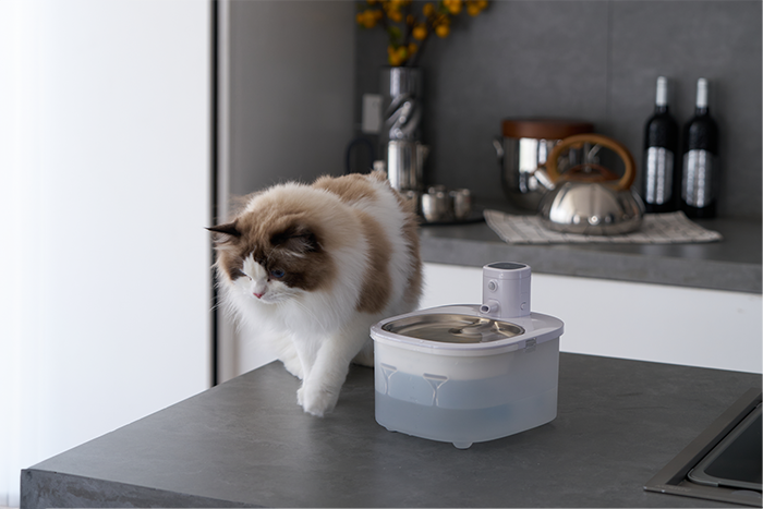 Wireless When You Need It, Plug-In When You Want: Why homerunPET BF25M Pet Water Fountain Fits Every Home