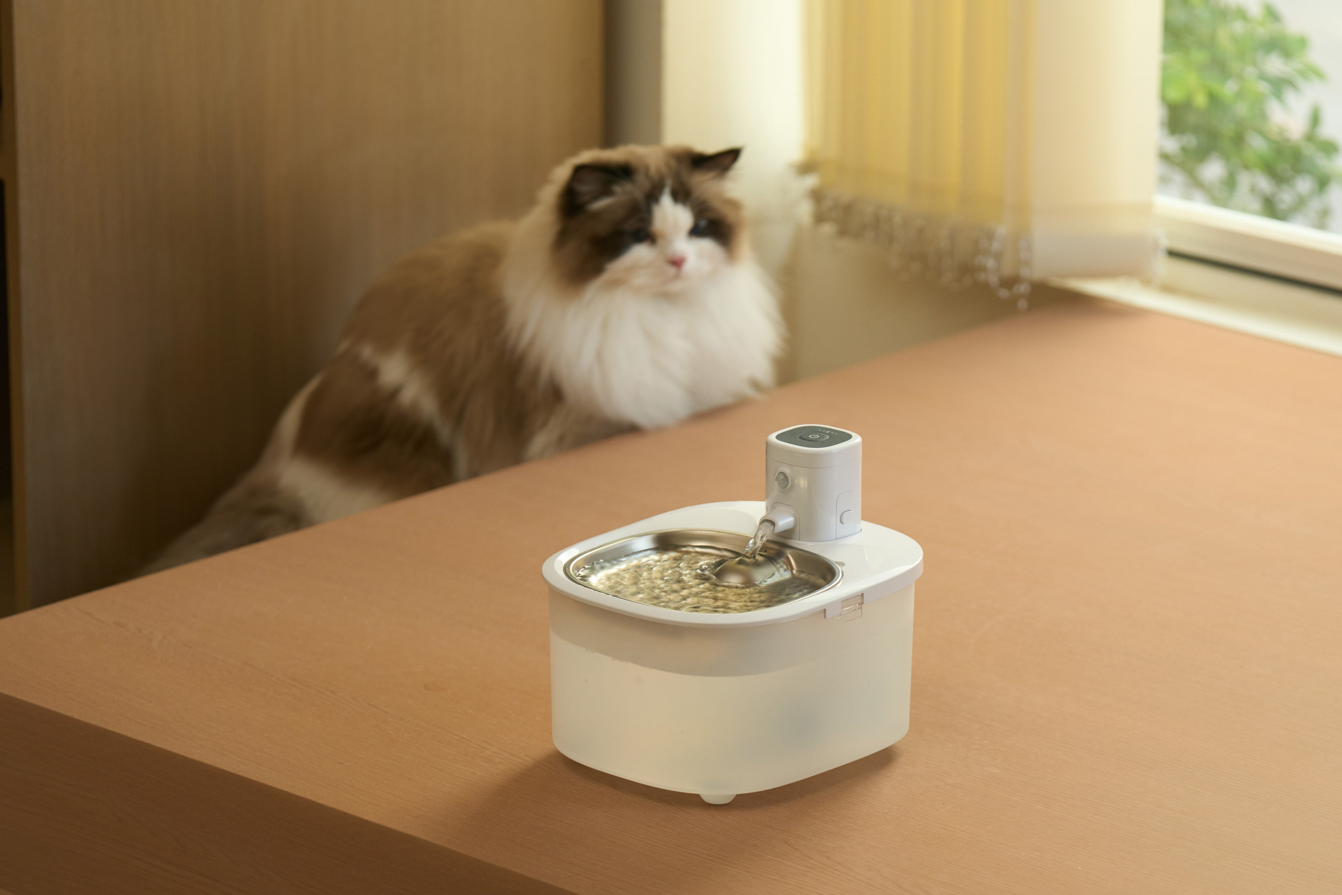 Water, Wherever They Feel at Home