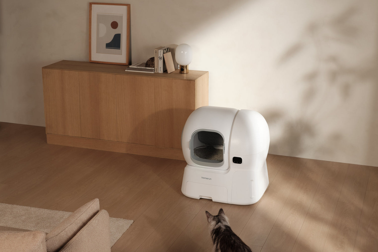 Top 5 Features to Look for in a Cat Litter Box in 2026