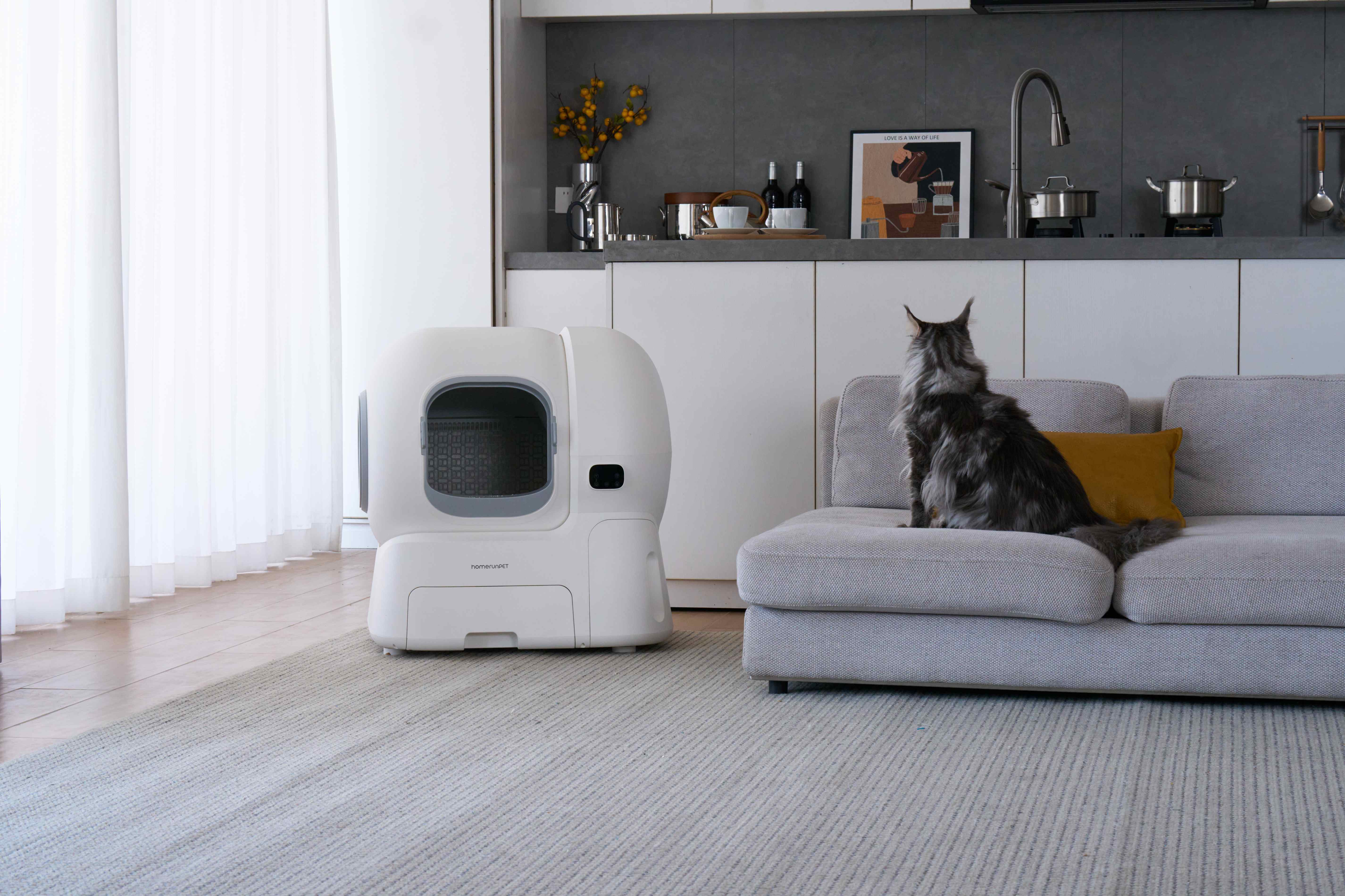 One Year Later: The homerunPET Self-Cleaning Litter Box CS106 That's Still Going Strong
