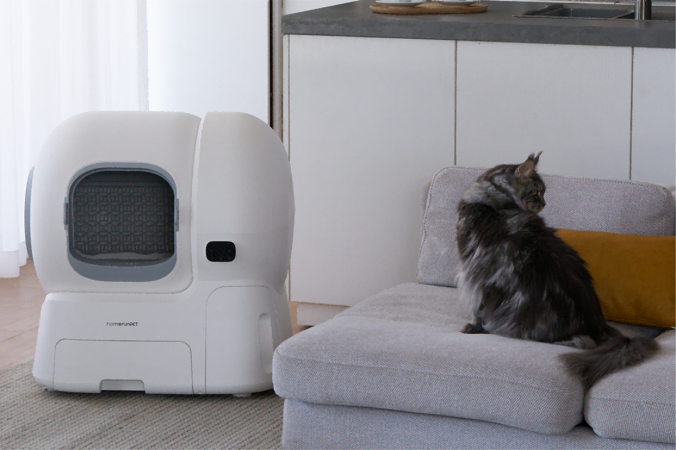 When the Litter Box Is Too Small, Everyone Feels It