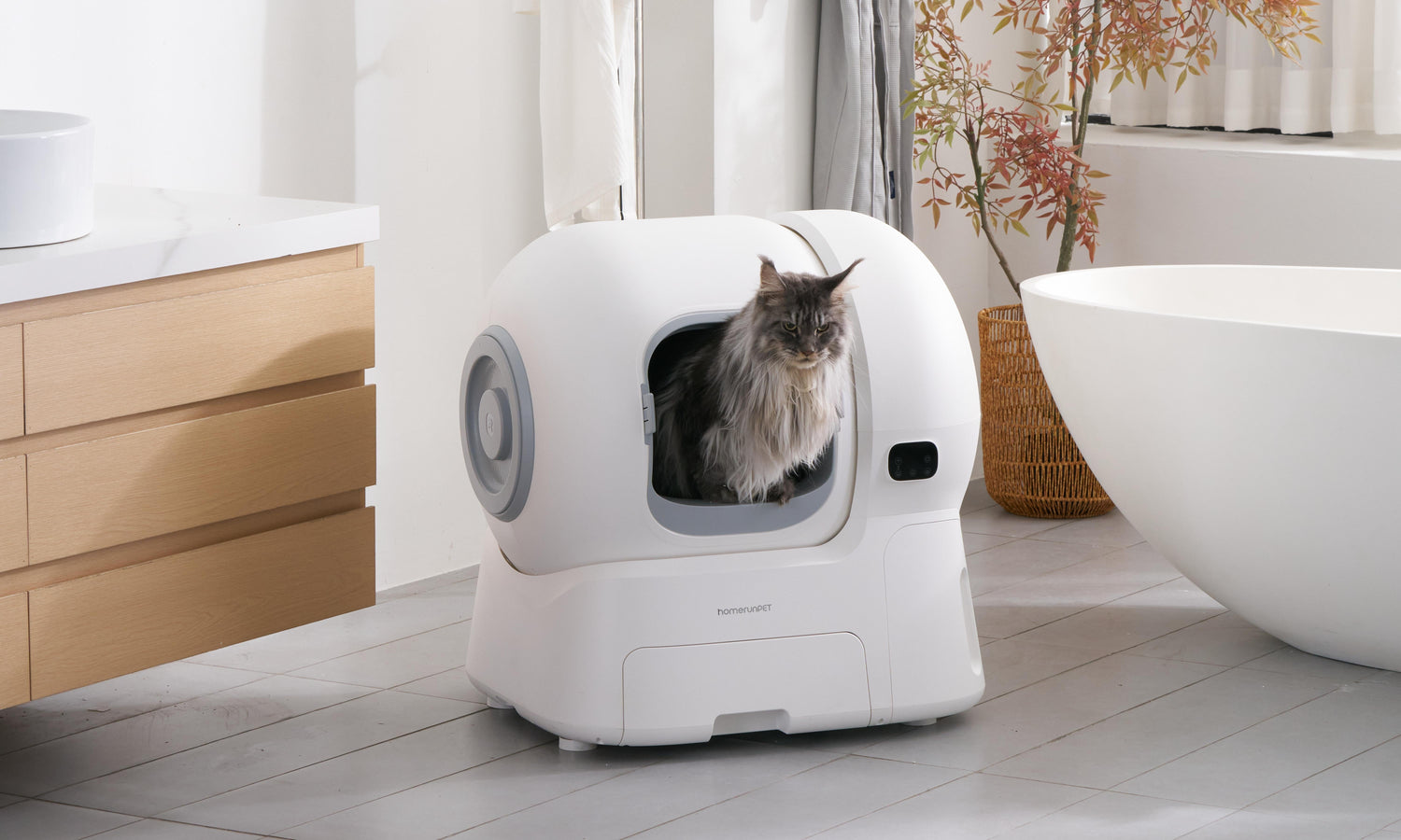 How to Choose the Best Self-Cleaning Litter Box for Your Cat: A Complete Buyer’s Guide