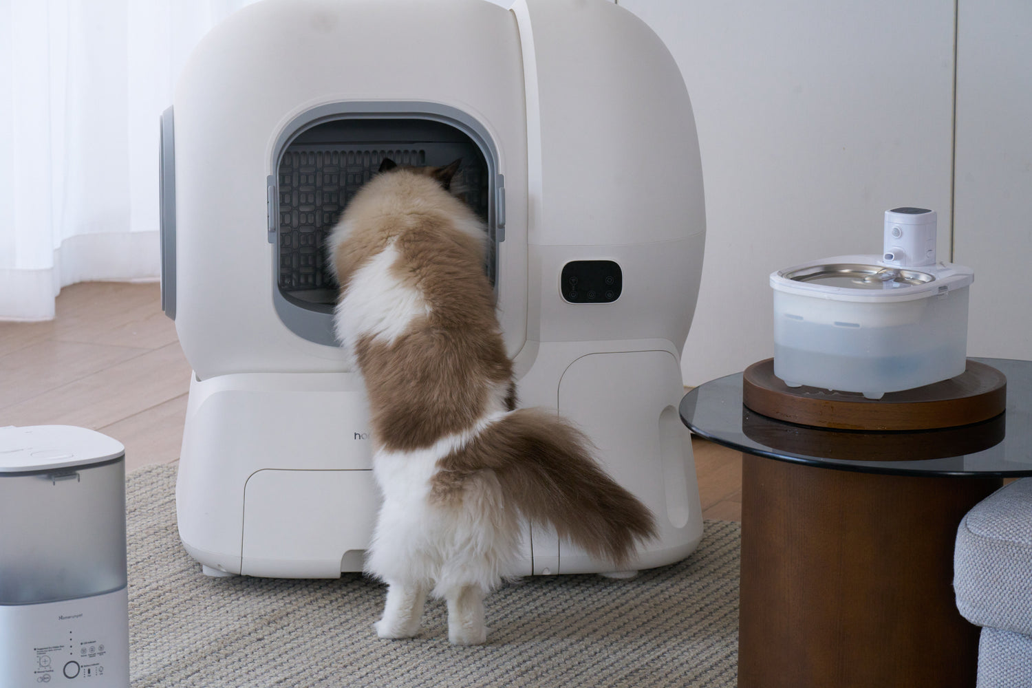 From Chaos to Clean: How the homerunPET Self-Cleaning Litter Box CS106 Transforms Multi-Cat Homes