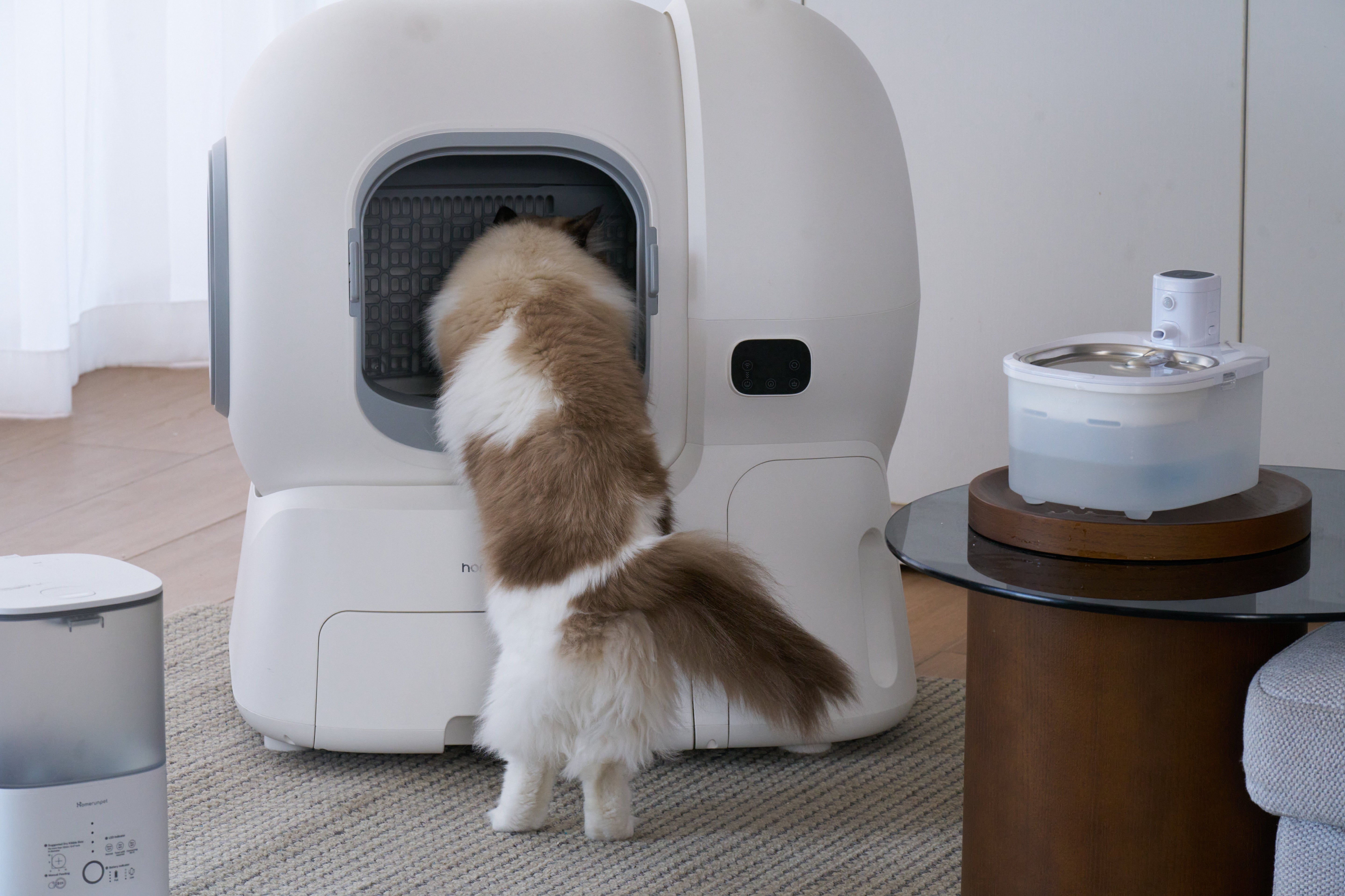 From Chaos to Clean: How the homerunPET Self-Cleaning Litter Box CS106 Transforms Multi-Cat Homes