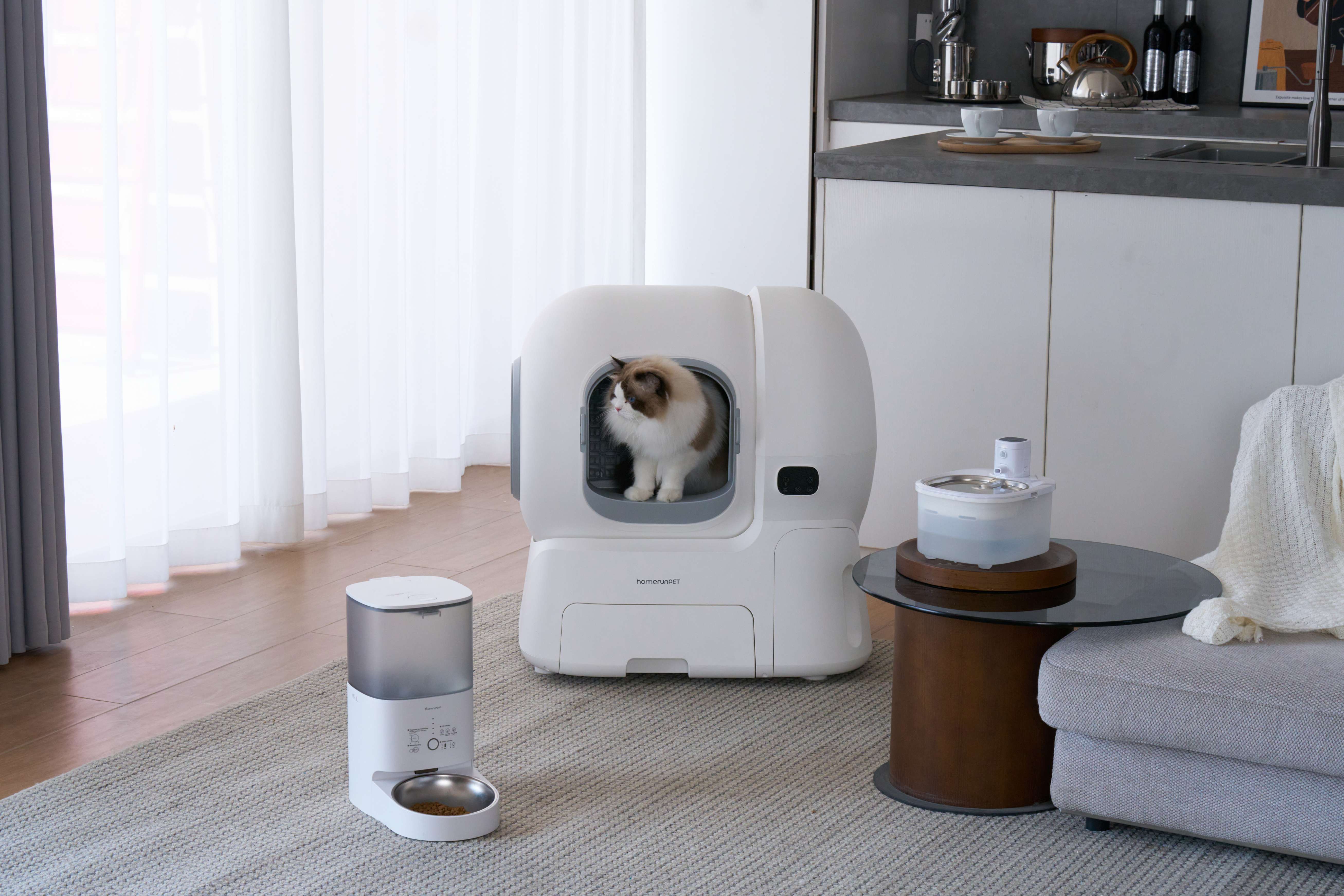 Three Products That Made the First Year With a Cat a Lot Less Stressful