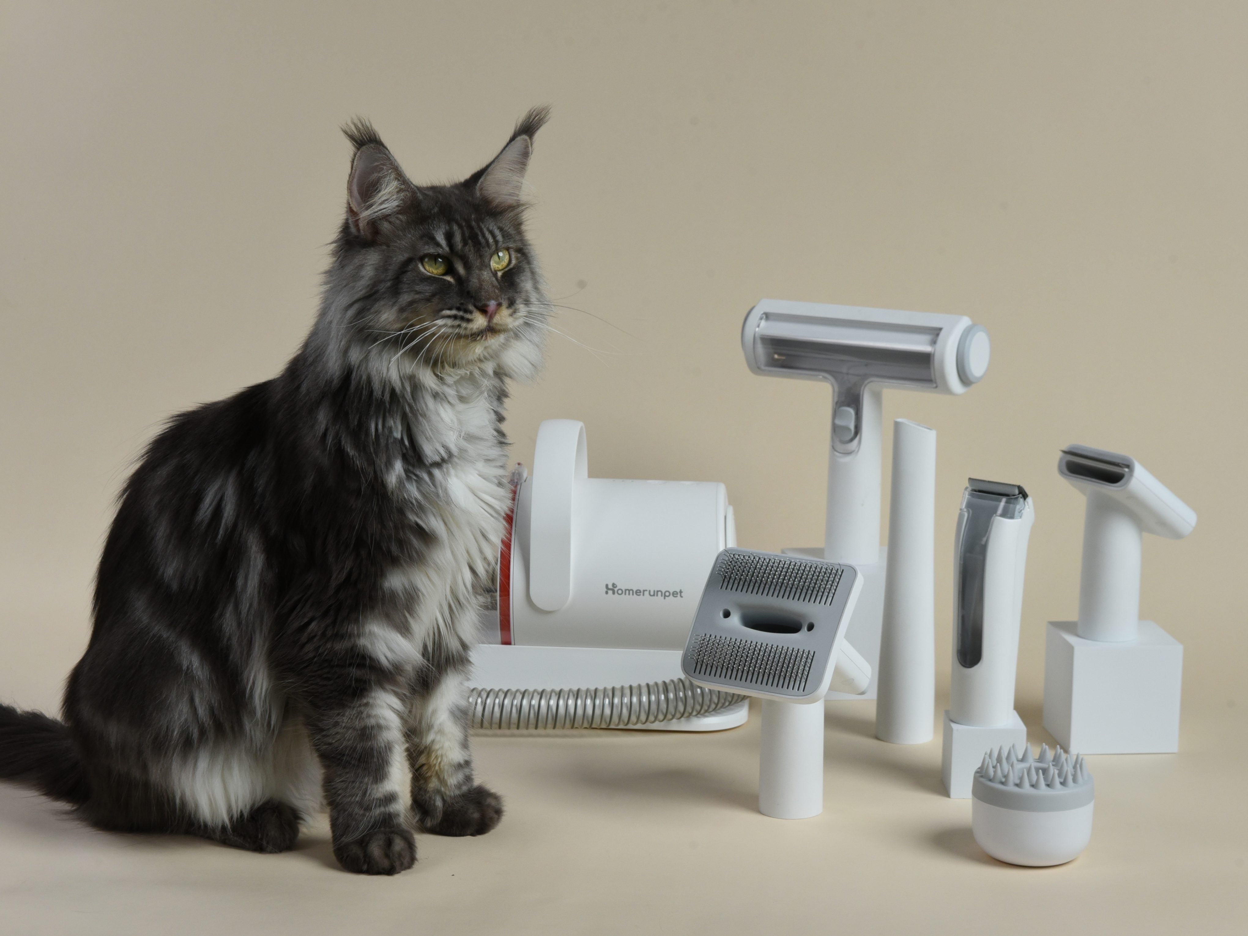 A Cleaner Home, A Calmer Pet: What Daily Life Looks Like with a Pet Grooming Vacuum
