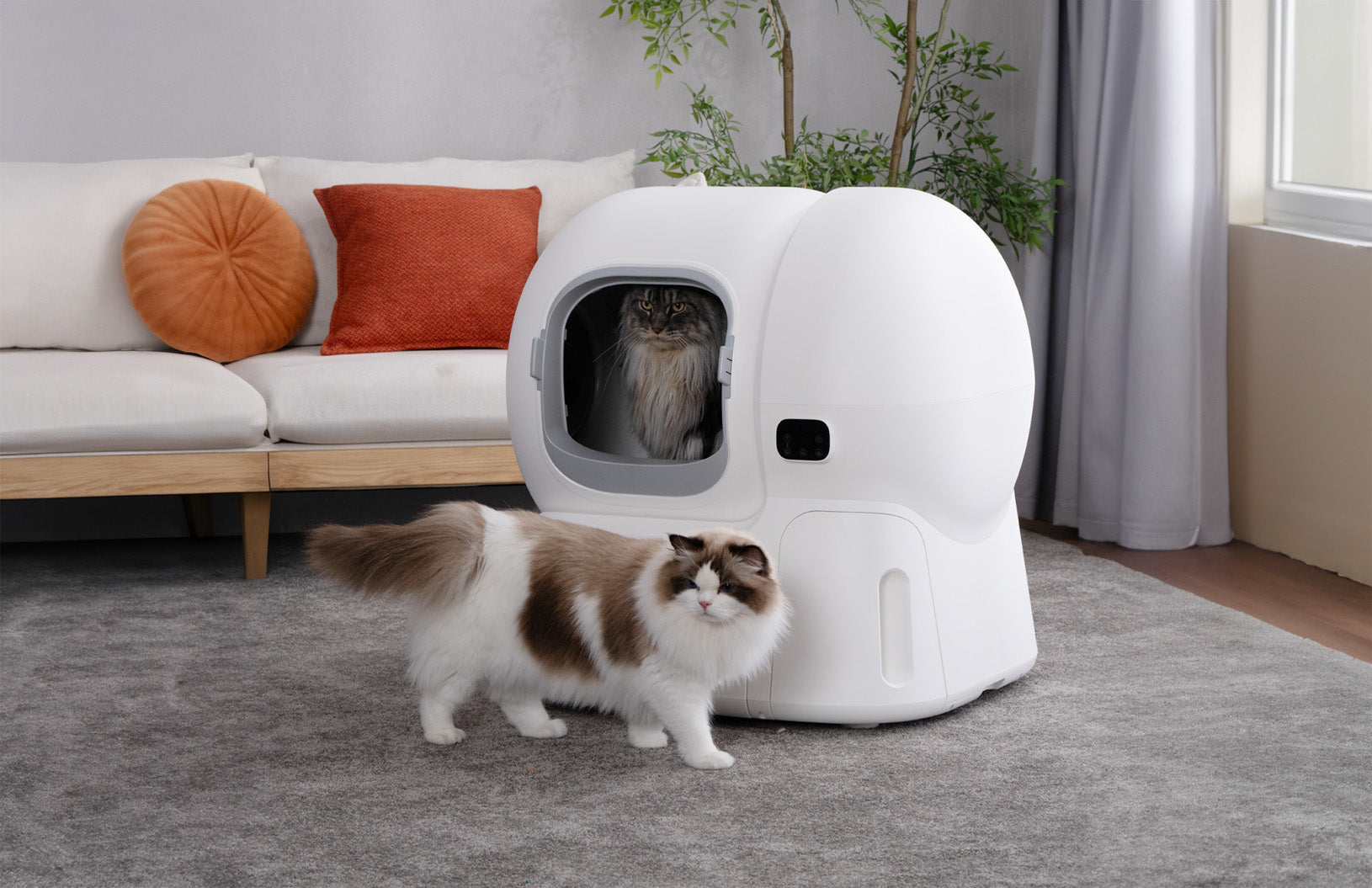 Unboxing a New Chapter: Welcoming 2026 with homerunPET