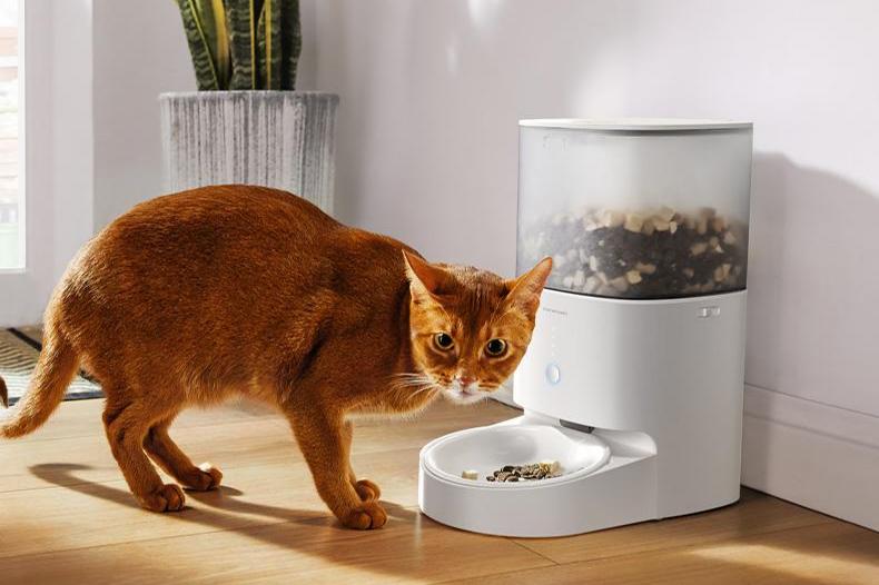 Busy Schedule, Happy Pet: How Smart Pet Feeders Fit Modern Lifestyles