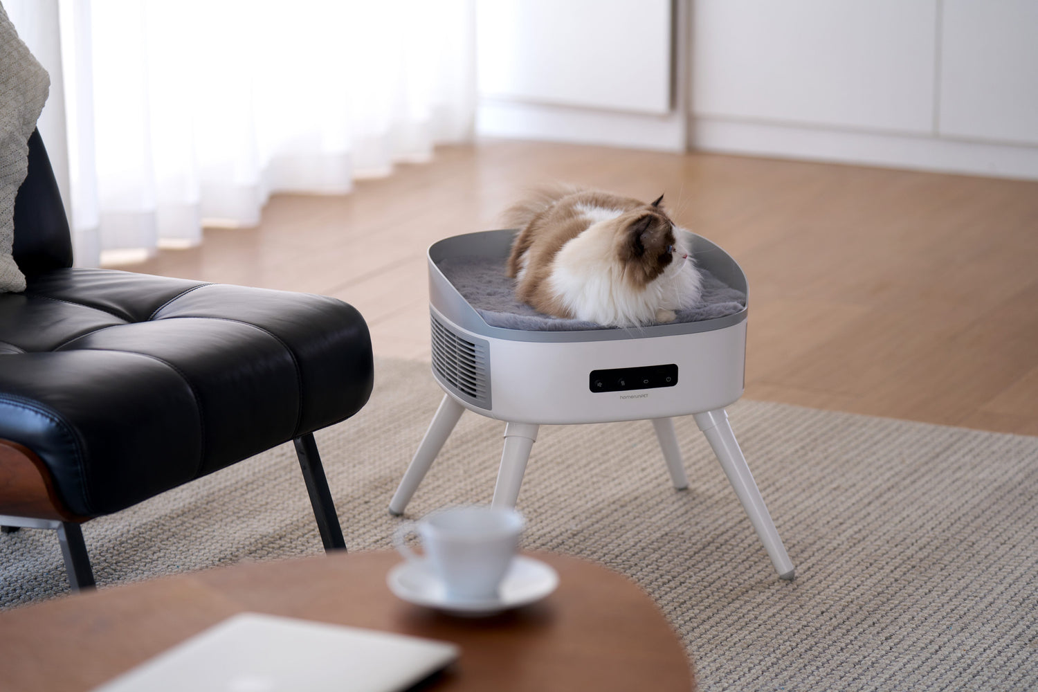 "It doesn't feel hot" – Why is this a smart feature for cat bed of the Pet-Friendly Space Heater?