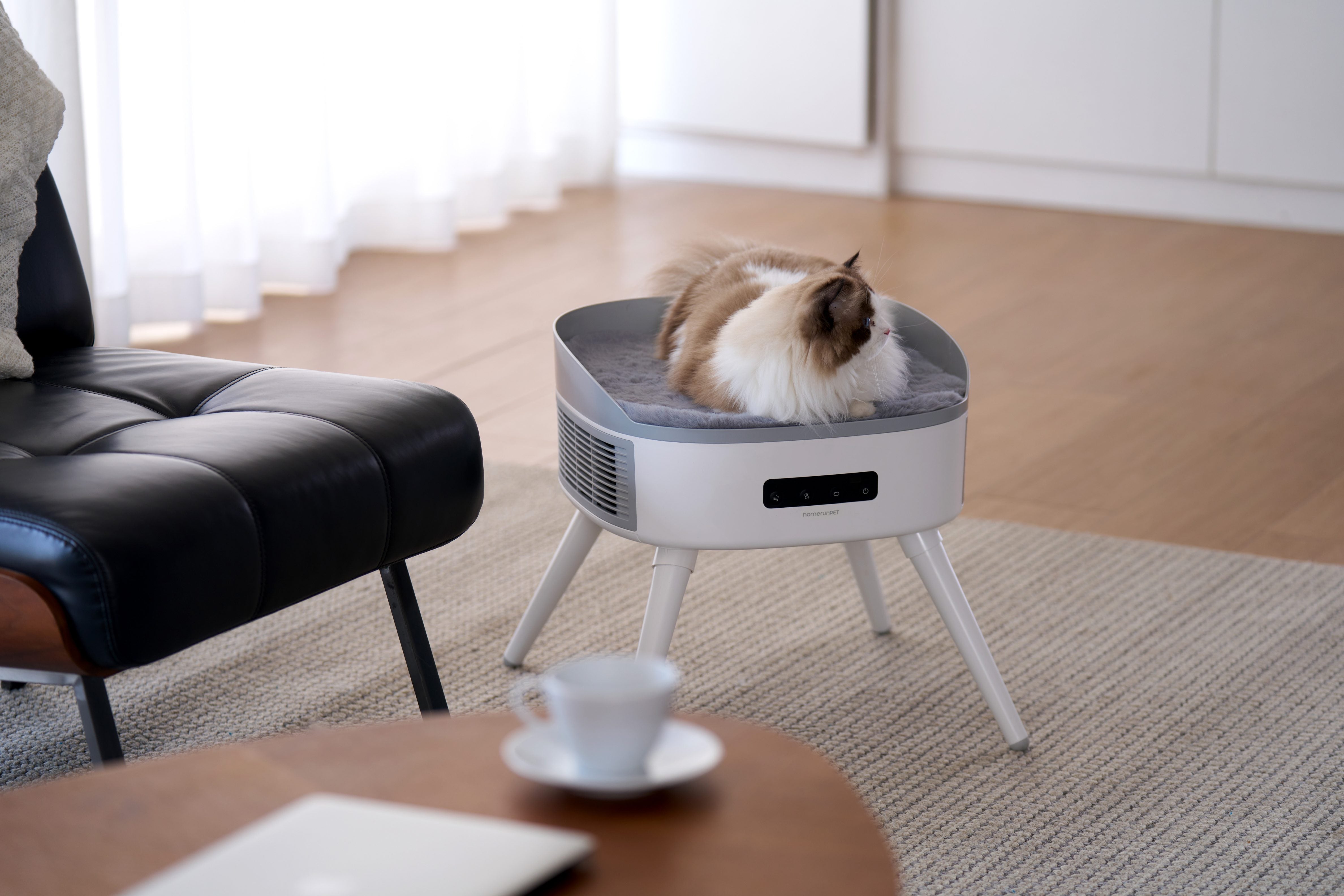 "It doesn't feel hot" – Why is this a smart feature for cat bed of the Pet-Friendly Space Heater?