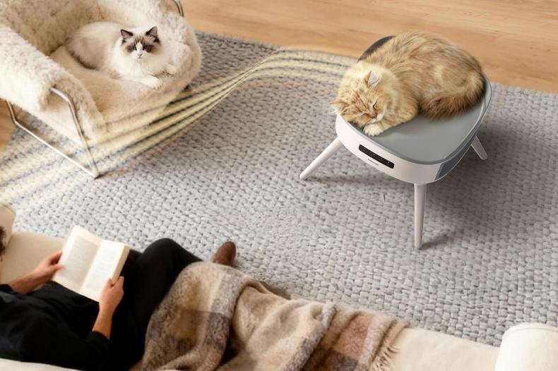 Winter Comfort for Pets and People: How a Pet-Friendly Space Heater Changes Indoor Living