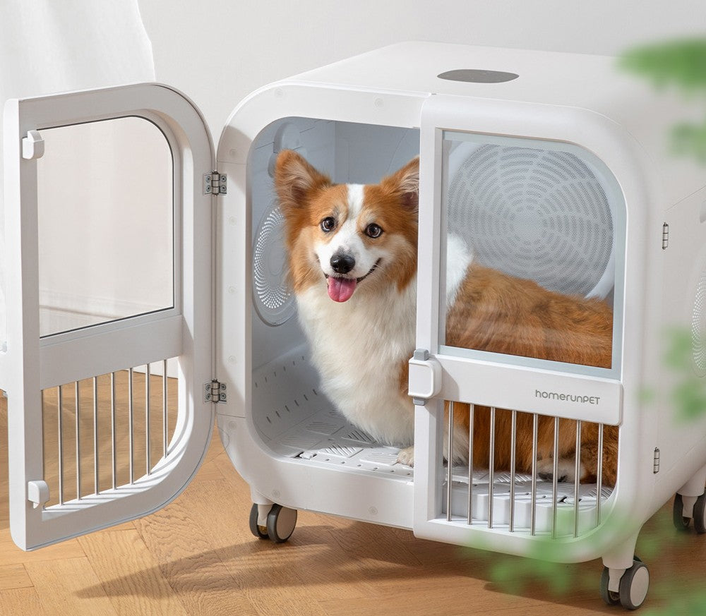 A Complete Guide to the Drybo Ultra Smart Pet Dryer PD135: Gentle, Spacious Drying for Modern Pet Homes