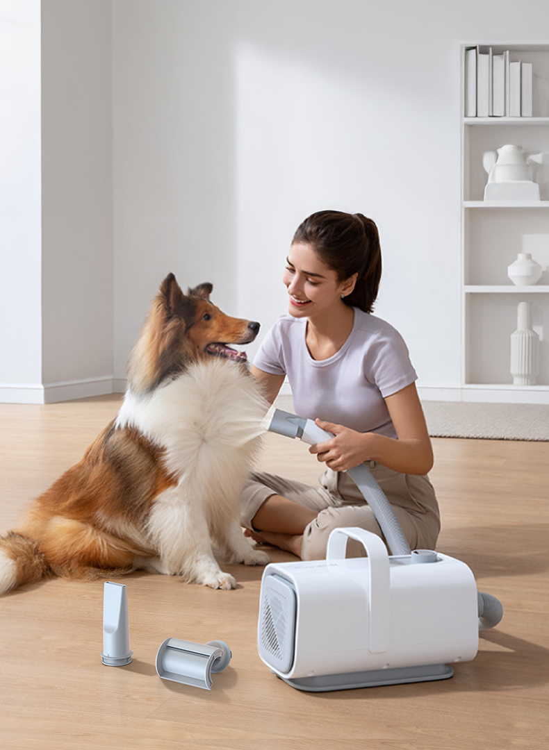 The Complete Guide to Choosing a Pet Hair Force Dryer PD10