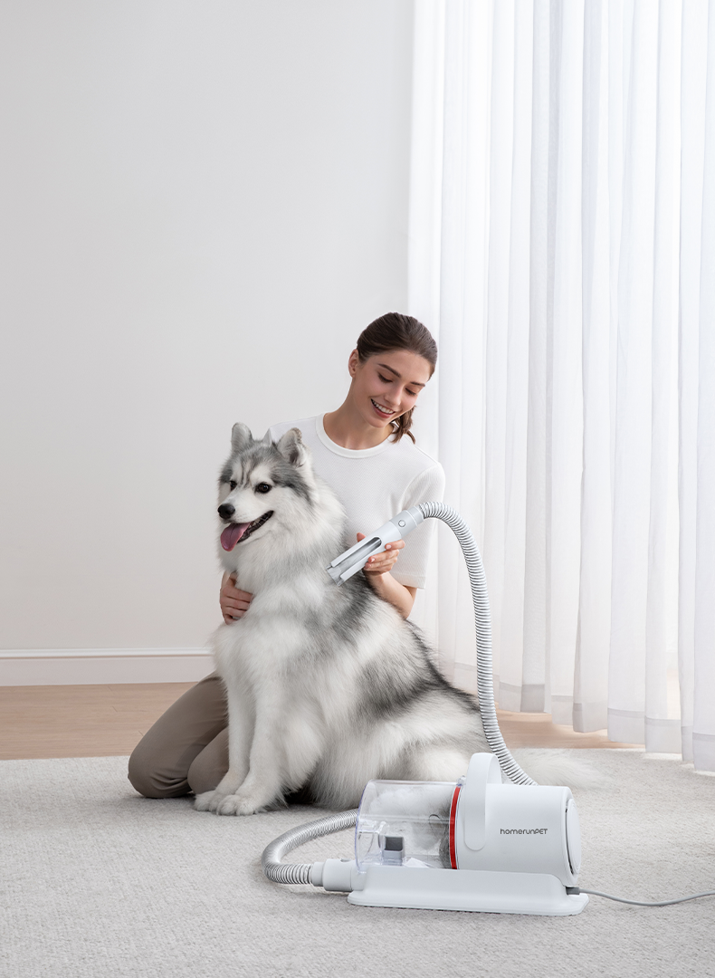 A Complete Guide to the homerunPET Pet Grooming Kit Dog Hair Vacuum: Cleaner Grooming Starts Here