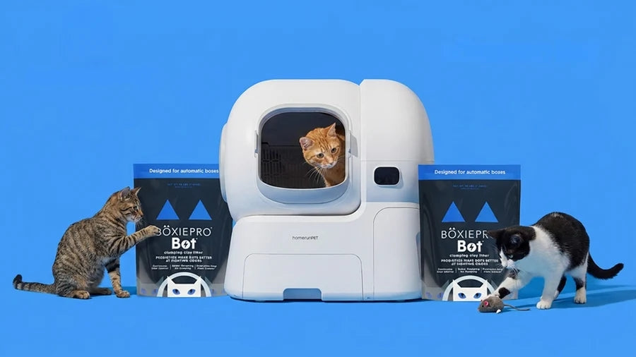 homerunPET × Boxiecat blog1