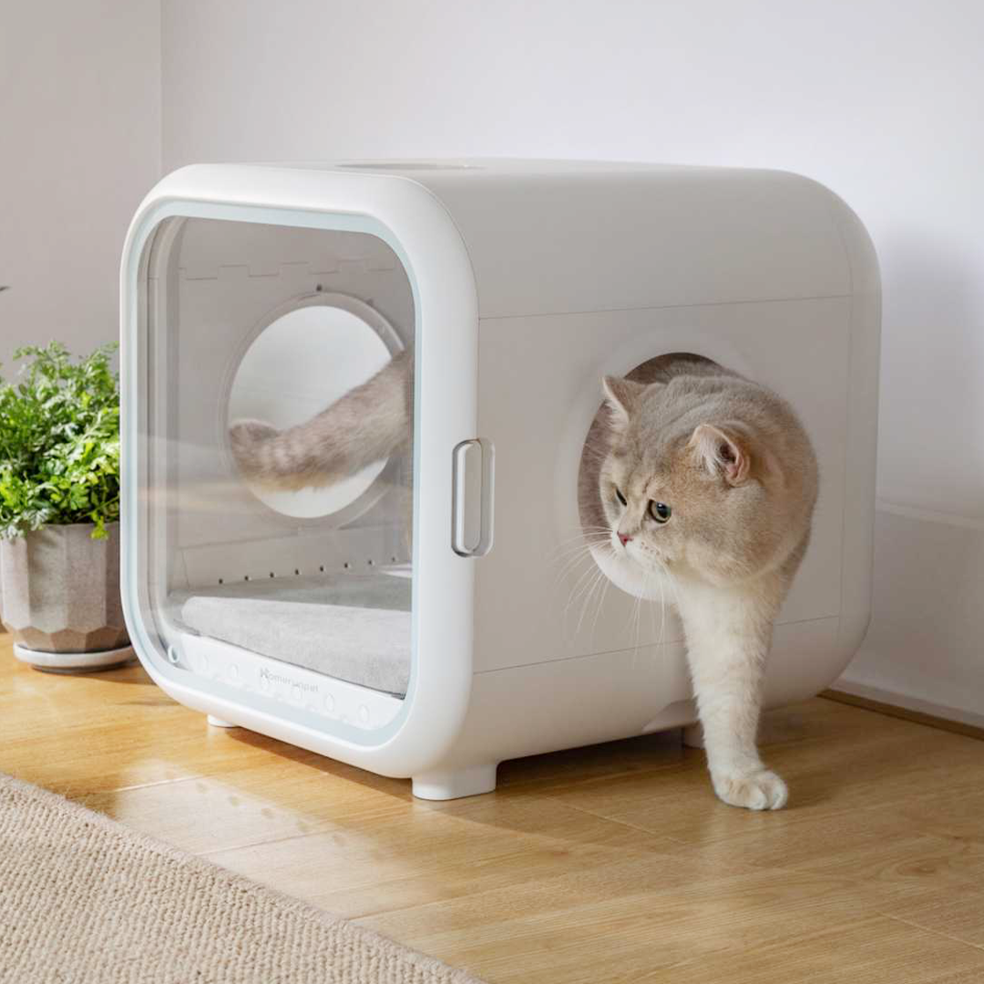 Drybo Drybo Plus Smart Pet Dryer PD50: A Practical Guide to Stress-Free Pet