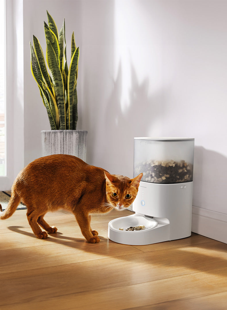 Smart Pet Feeder PF20