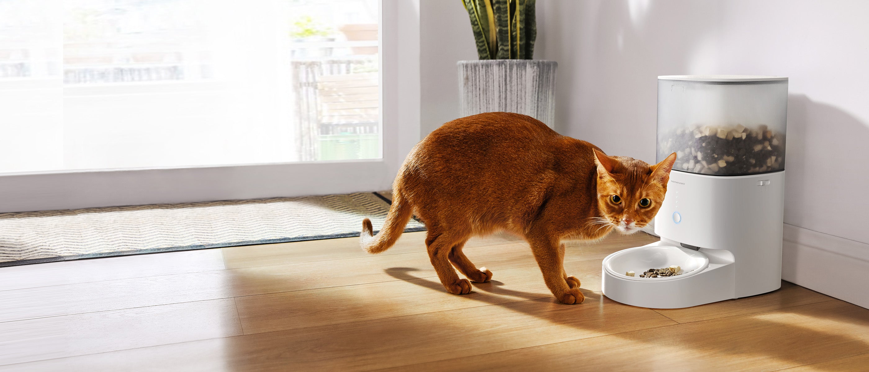 Smart Pet Feeder PF20