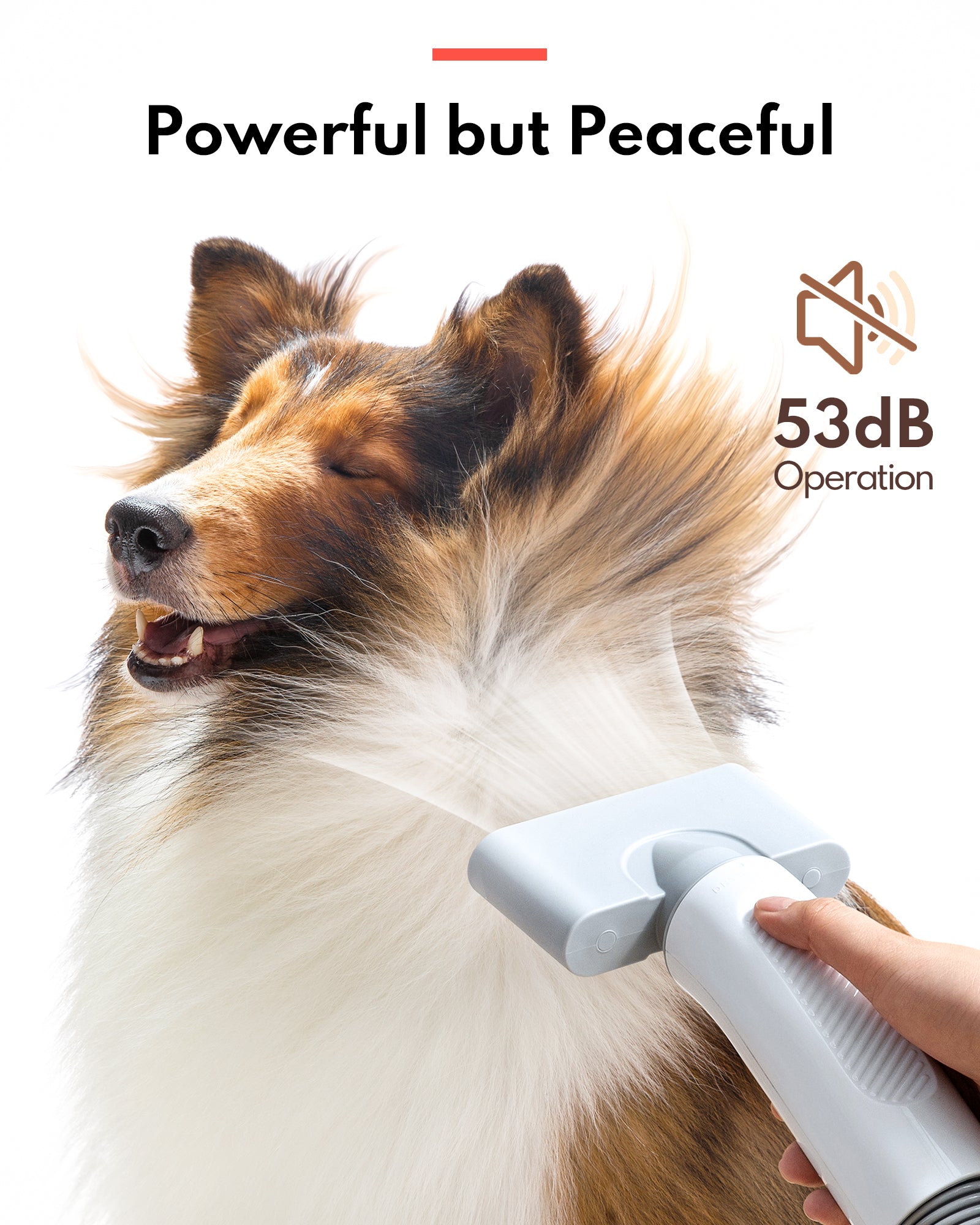 Homerunpet Pet Hair Dryer