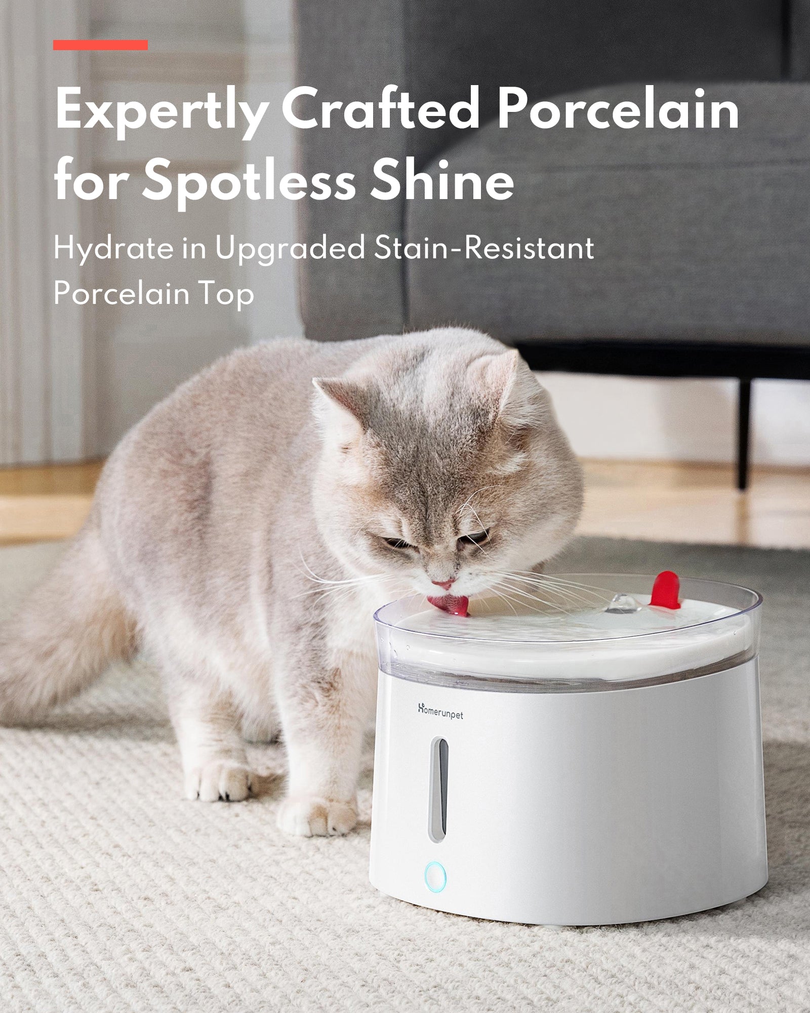 Pet Water Fountain with UVC Sterilization Wireless Pump