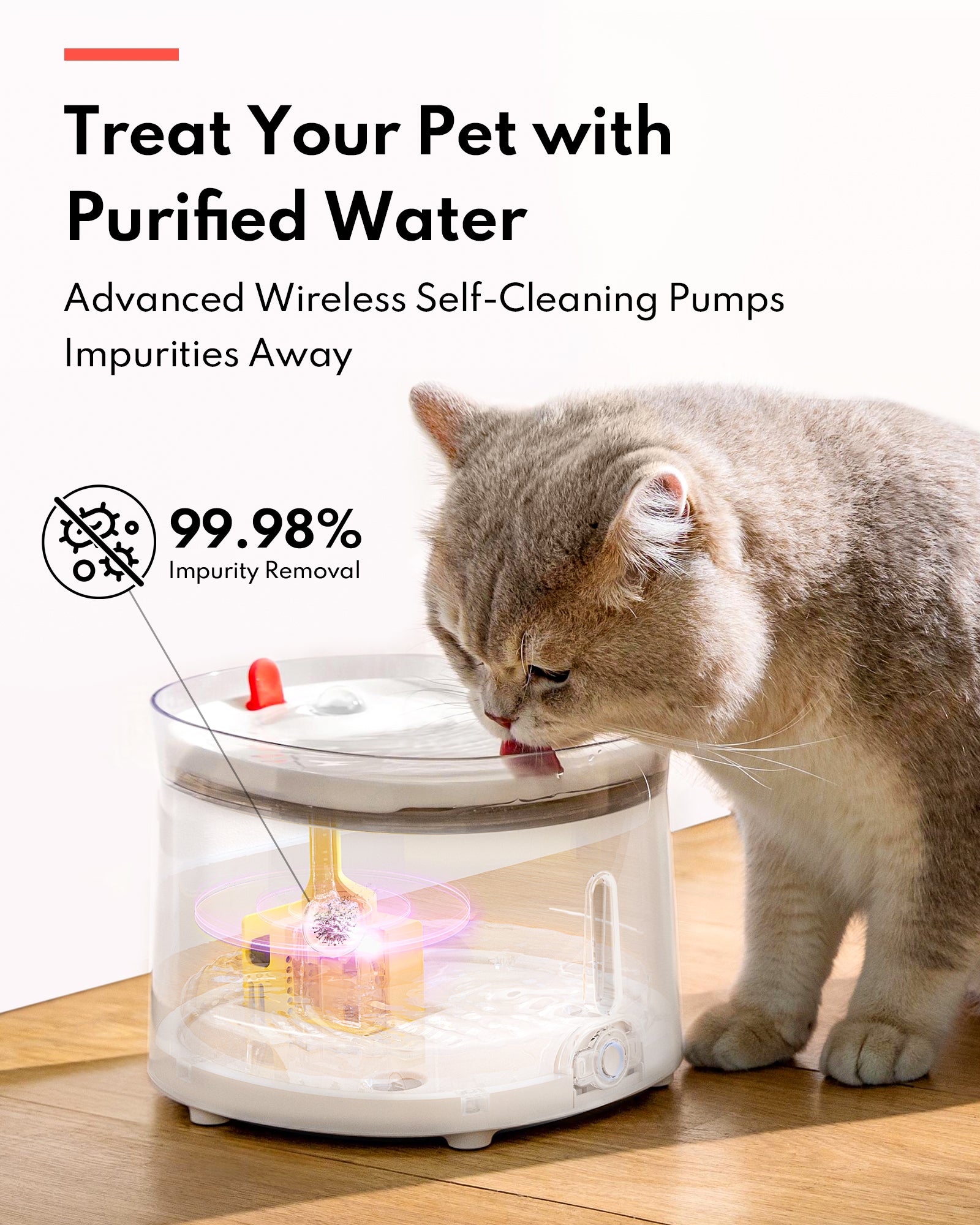 Pet Water Fountain with UVC Sterilization Wireless Pump