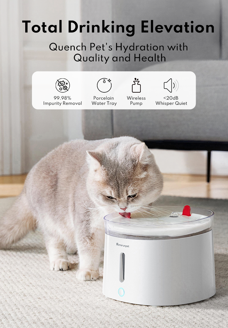 Cat water fountain porcelain best sale