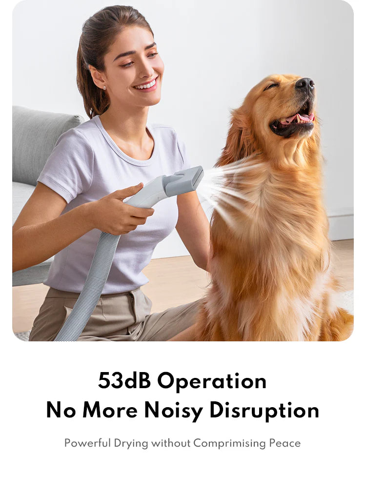 Homerunpet Pet Hair Dryer Homerunpet Pet Hair Dryer